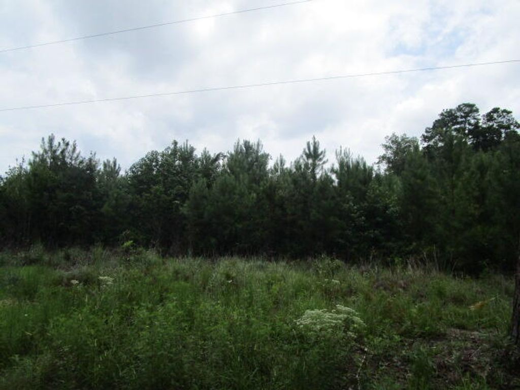 Photo of 7905 Morris Bing Road, Hollywood, SC 29449 (MLS # 25028701)