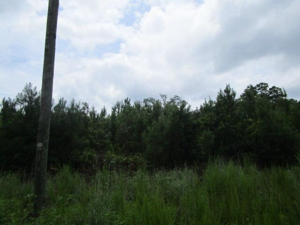 Photo of 7905 Morris Bing Road, Hollywood, SC 29449 (MLS # 25028701)