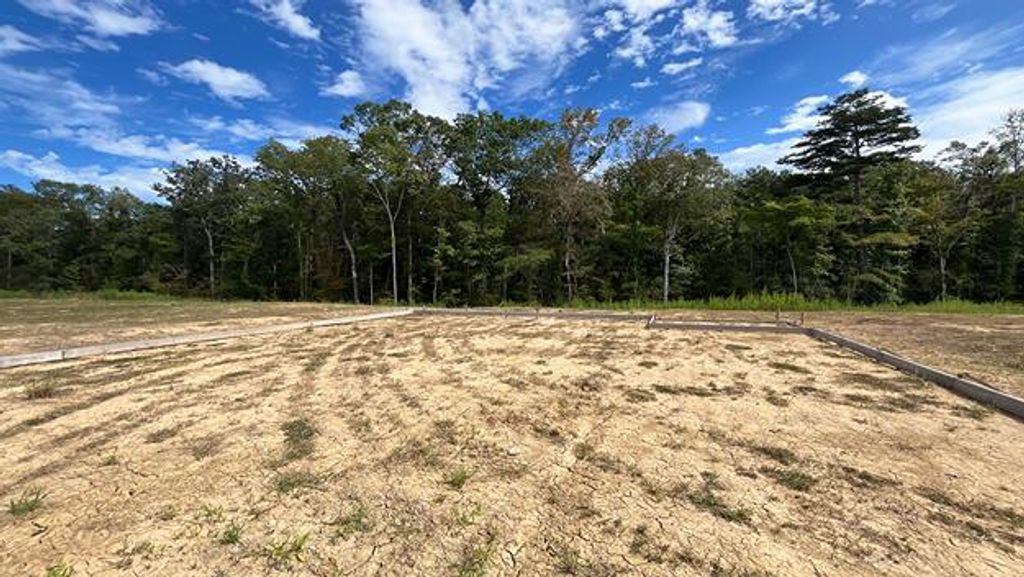 Photo of 448 Tulip Poplar Drive, Moncks Corner, SC 29461 (MLS # 25026647)
