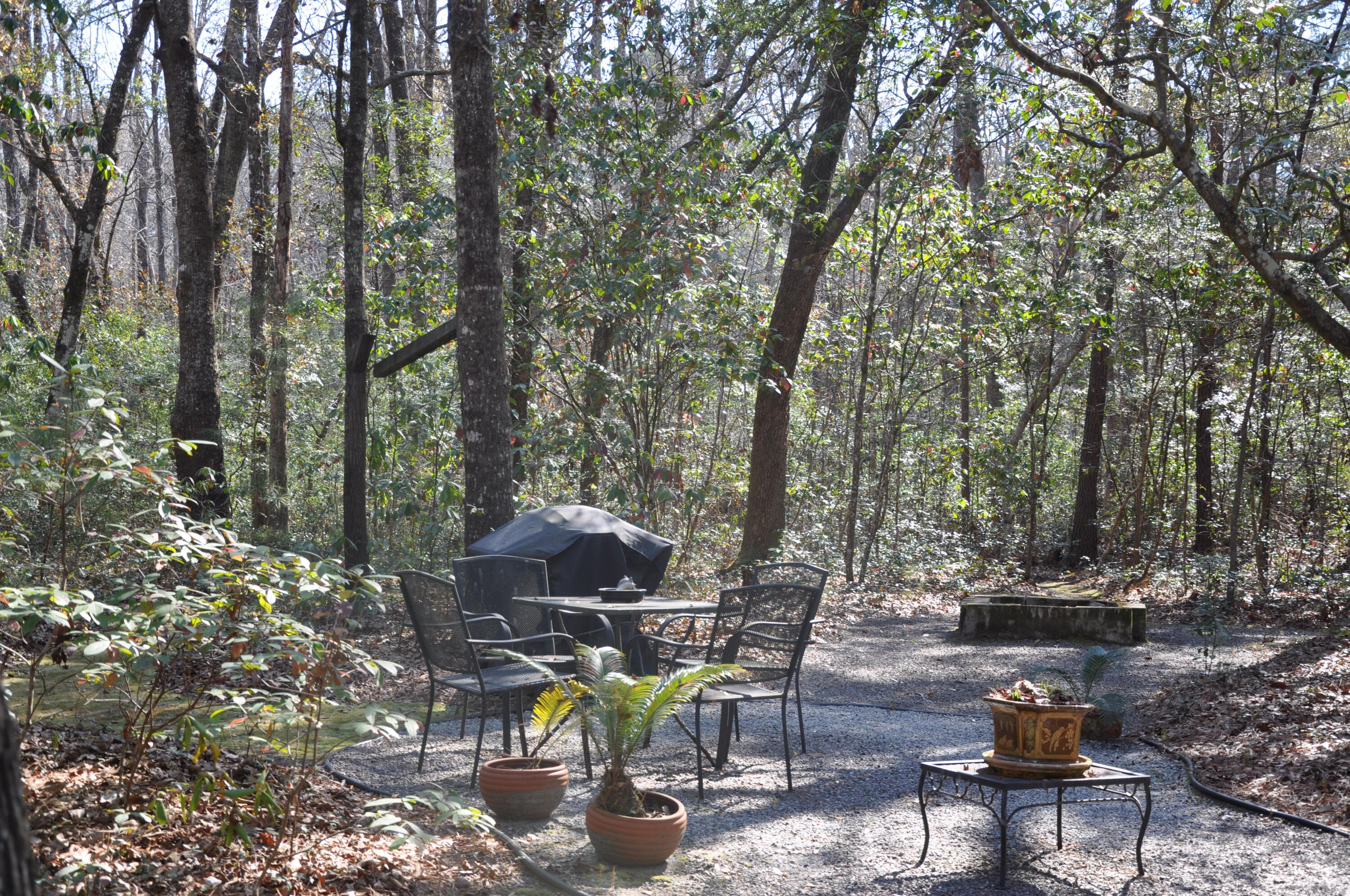 6321 Bears Bluff Road