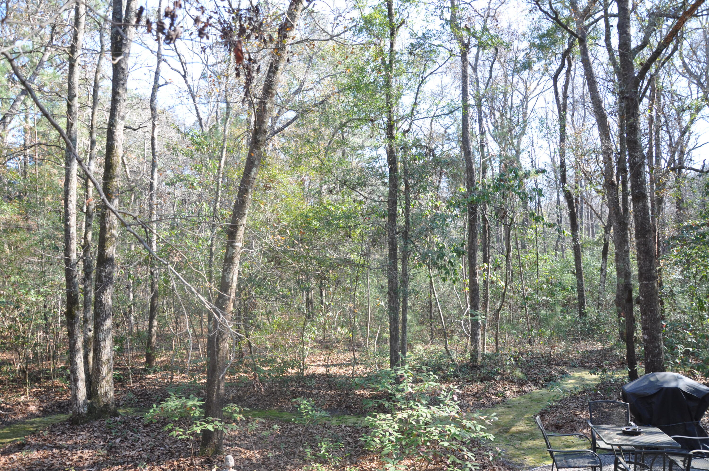 6321 Bears Bluff Road