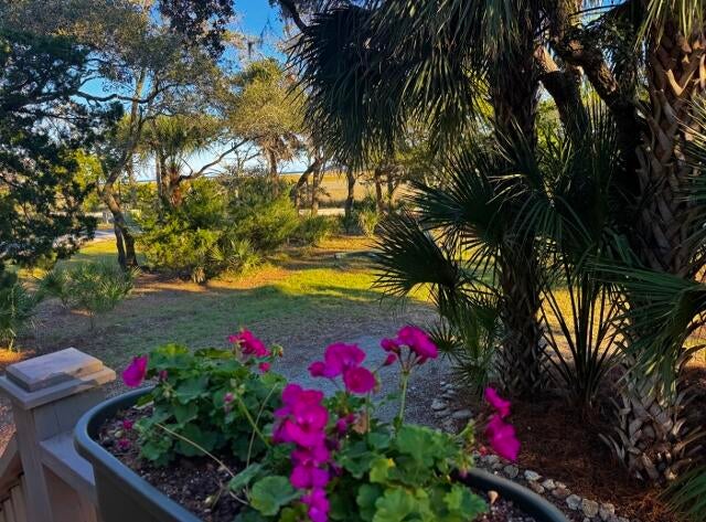 Photo of 7686 Legare Road, Edisto Island, SC 29438 (MLS # 26029208)