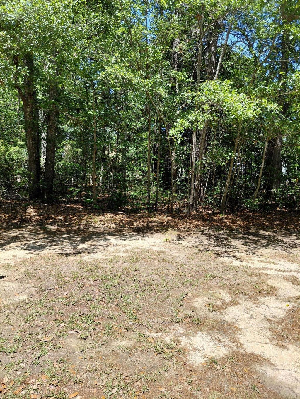 Photo of 312 Hundred Oaks Parkway, Summerville, SC 29483 (MLS # 26012811)