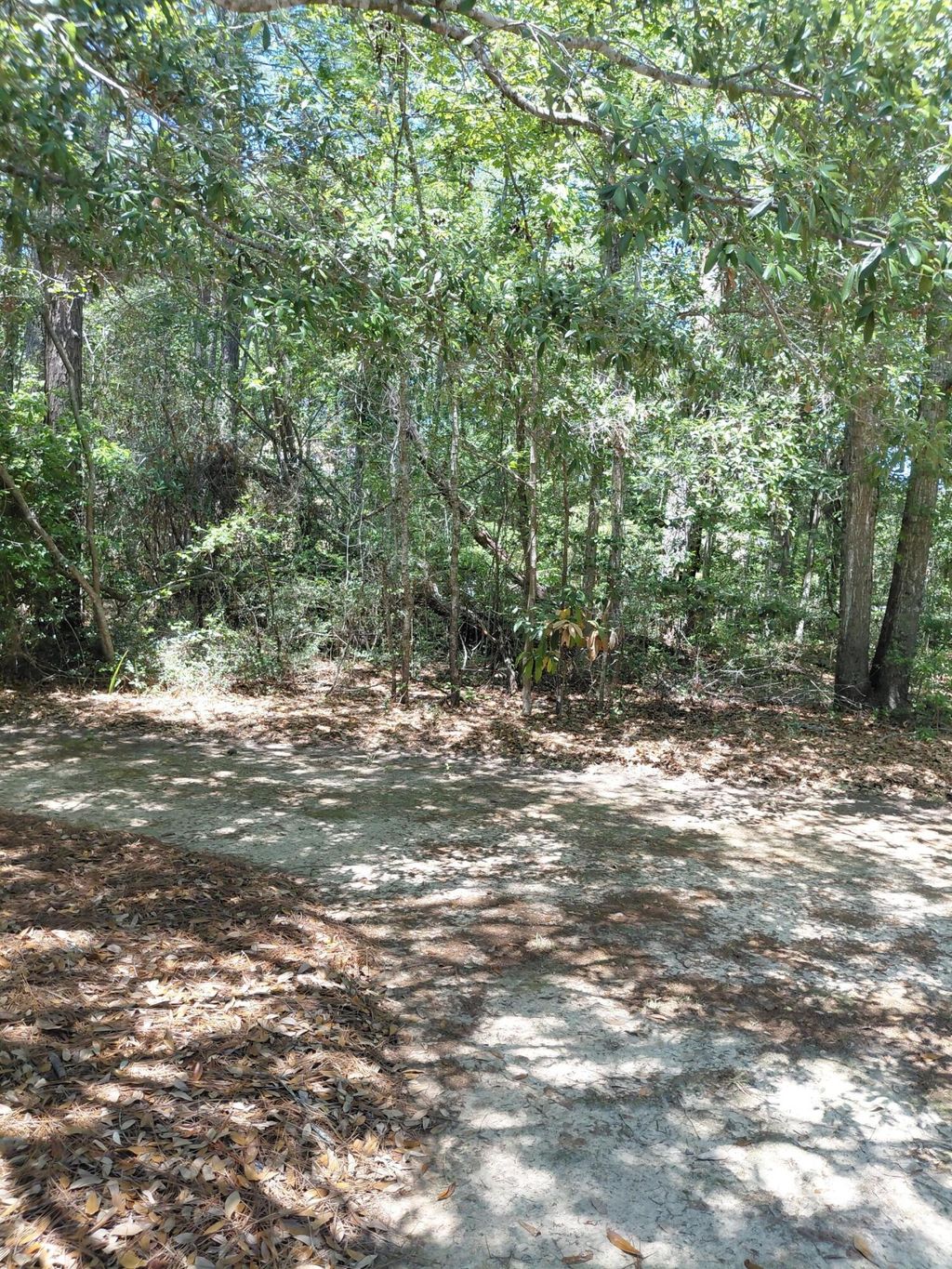Photo of 312 Hundred Oaks Parkway, Summerville, SC 29483 (MLS # 26012811)