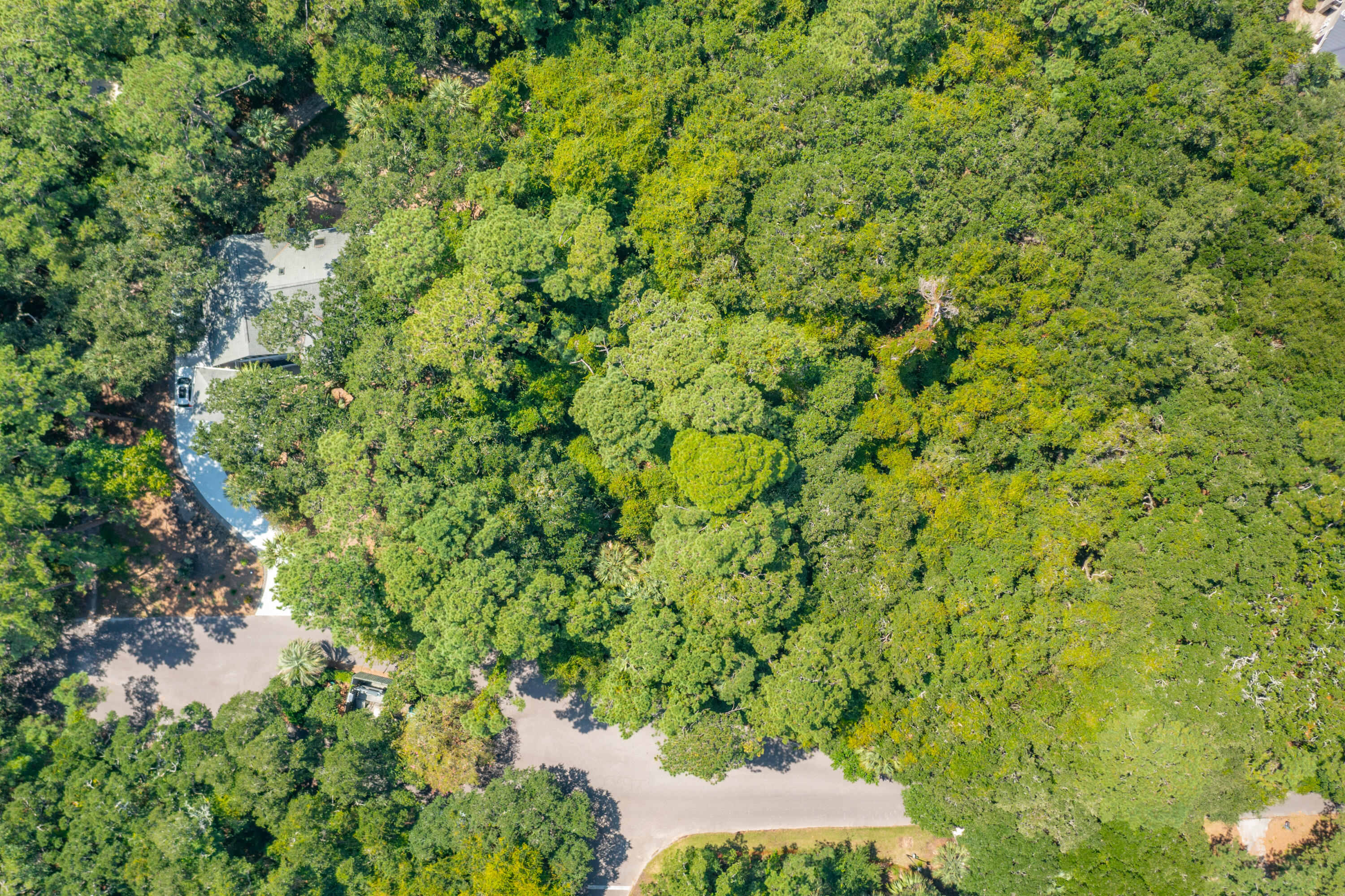 2160 Royal Pine Drive