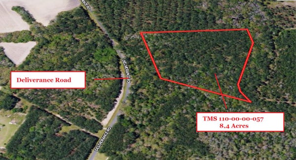 DELIVERANCE RD, RUFFIN, SC 29475 - Image ea82753a8aaa5fcceb6407e7ca57682f/2059324031