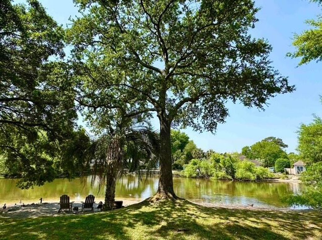 Photo of 691 Blue Heron Run, Mount Pleasant, SC 29464 (MLS # 26011155)