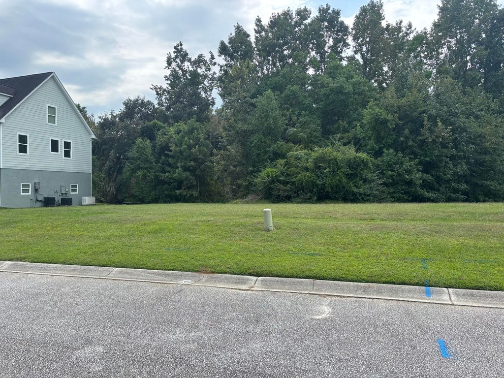 Photo of 6061 Jacobs Point Boulevard, Hollywood, SC 29470 (MLS # 25027049)