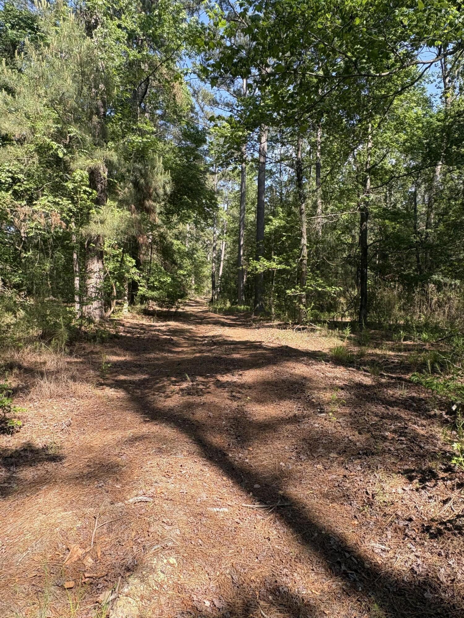 00 Clubhouse Road