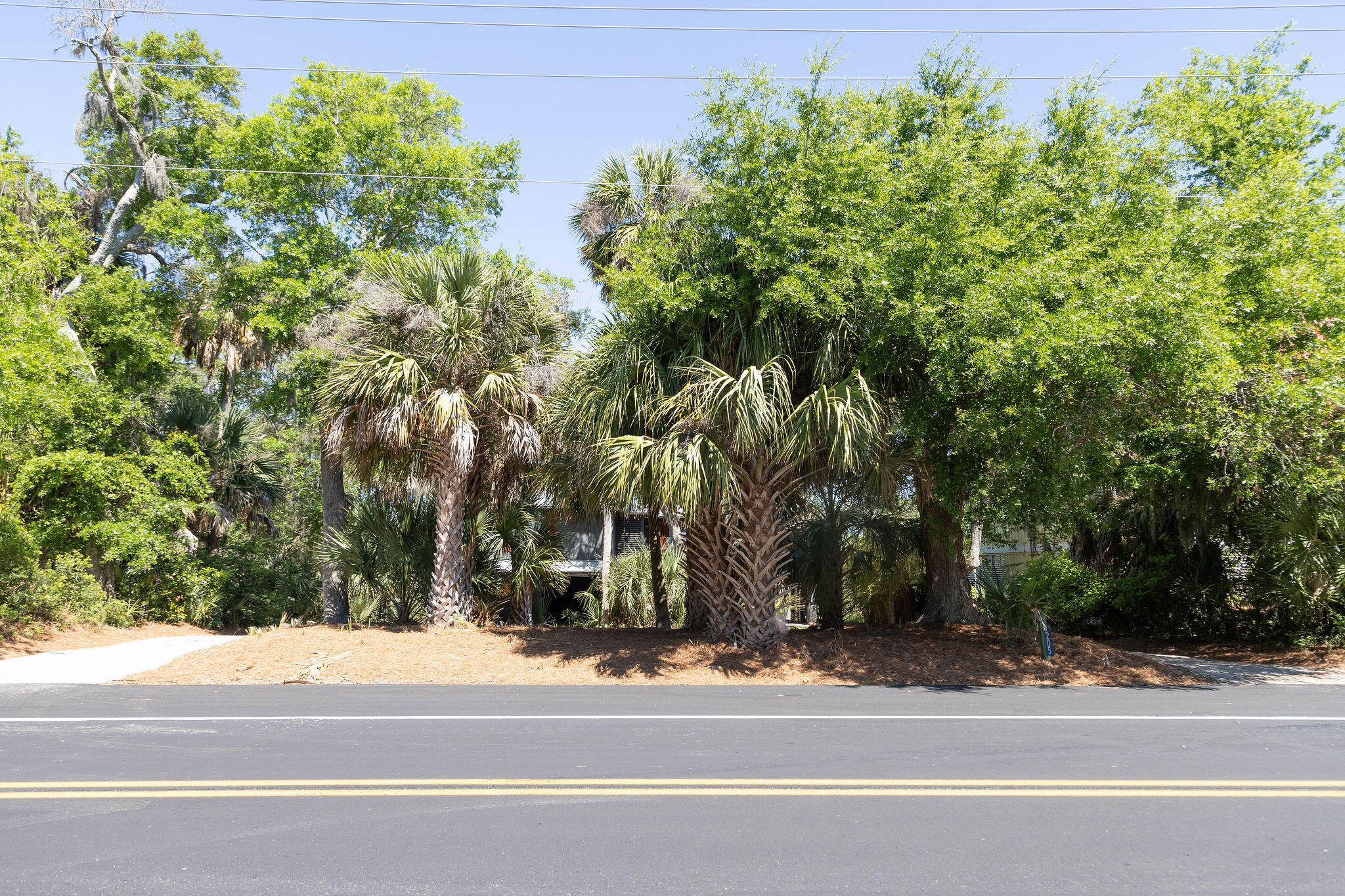 1205 Jungle Road