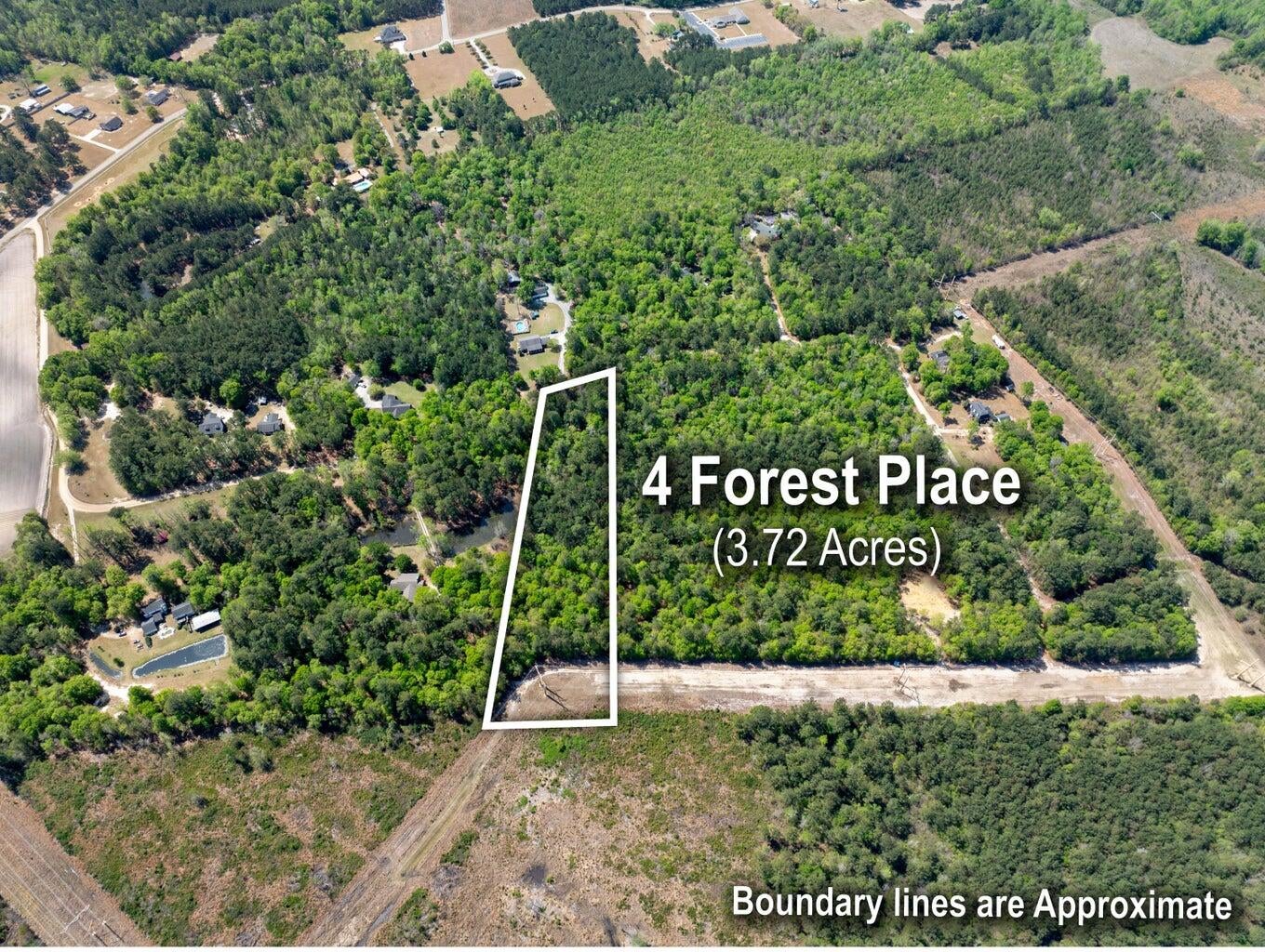 4 Forest Place