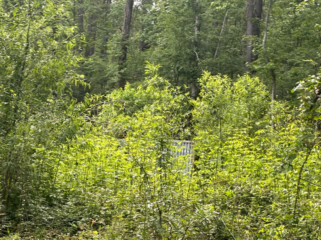 Photo of 00 Weir Street, Summerville, SC 29483 (MLS # 25030836)