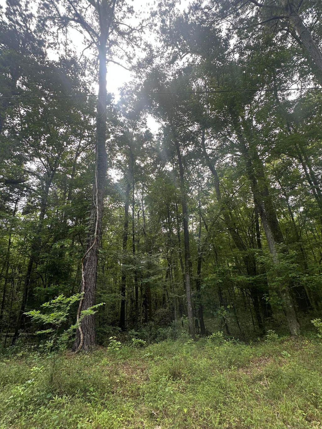 Photo of 00 Weir Street, Summerville, SC 29483 (MLS # 25030836)