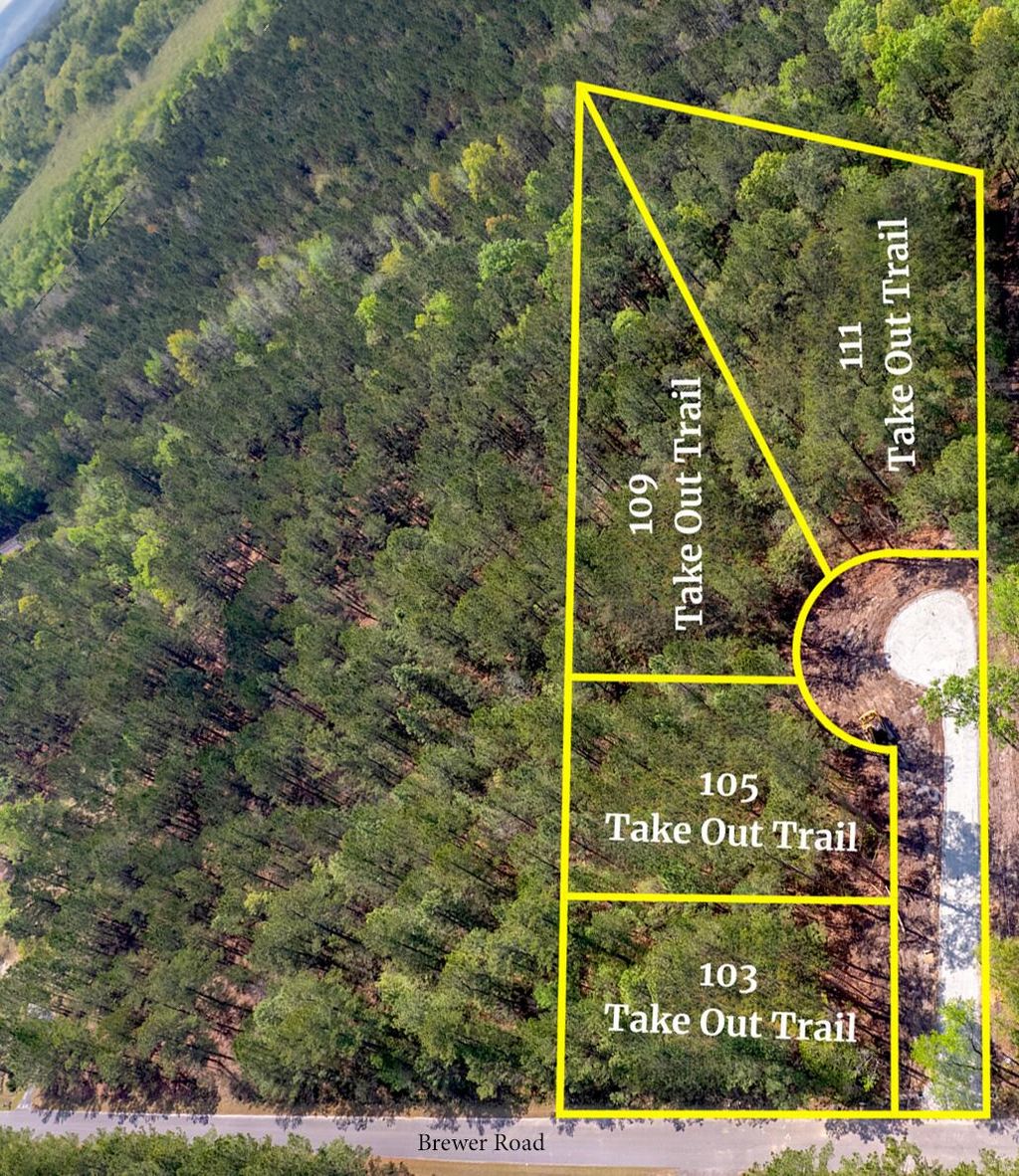 Photo of 111 Take Out Trail, Summerville, SC 29483 (MLS # 25012201)