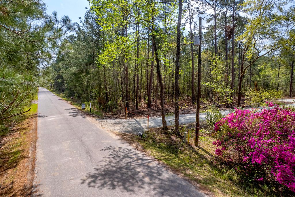 Photo of 111 Take Out Trail, Summerville, SC 29483 (MLS # 25012201)
