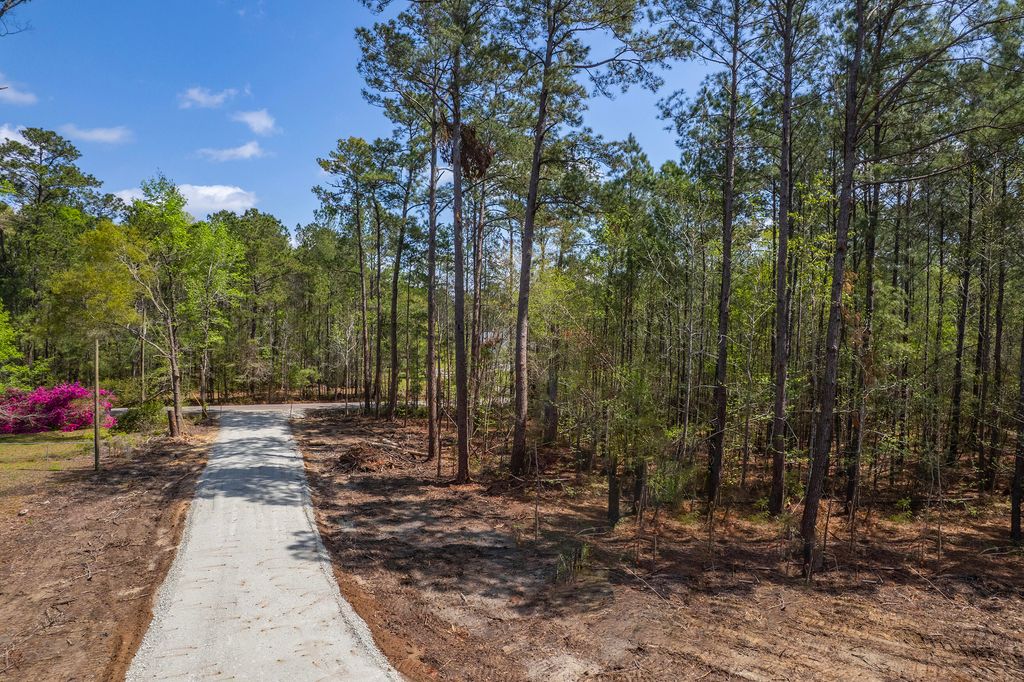 Photo of 111 Take Out Trail, Summerville, SC 29483 (MLS # 25012201)