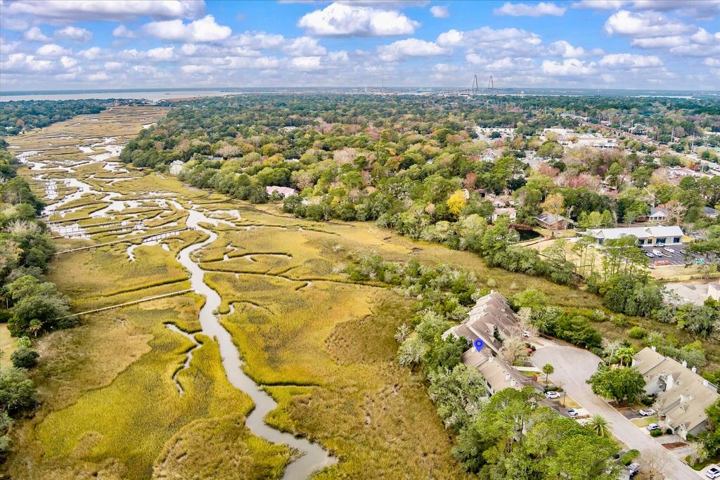 Photo of 1080 Marsh Court Lane, Mount Pleasant, SC 29464 (MLS # 25031966)