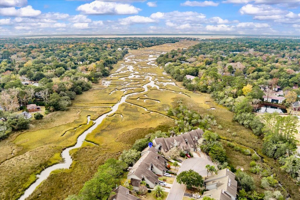 Photo of 1080 Marsh Court Lane, Mount Pleasant, SC 29464 (MLS # 25031966)