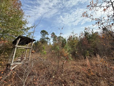 3391 Davis Bridge Road Williston SC 29853