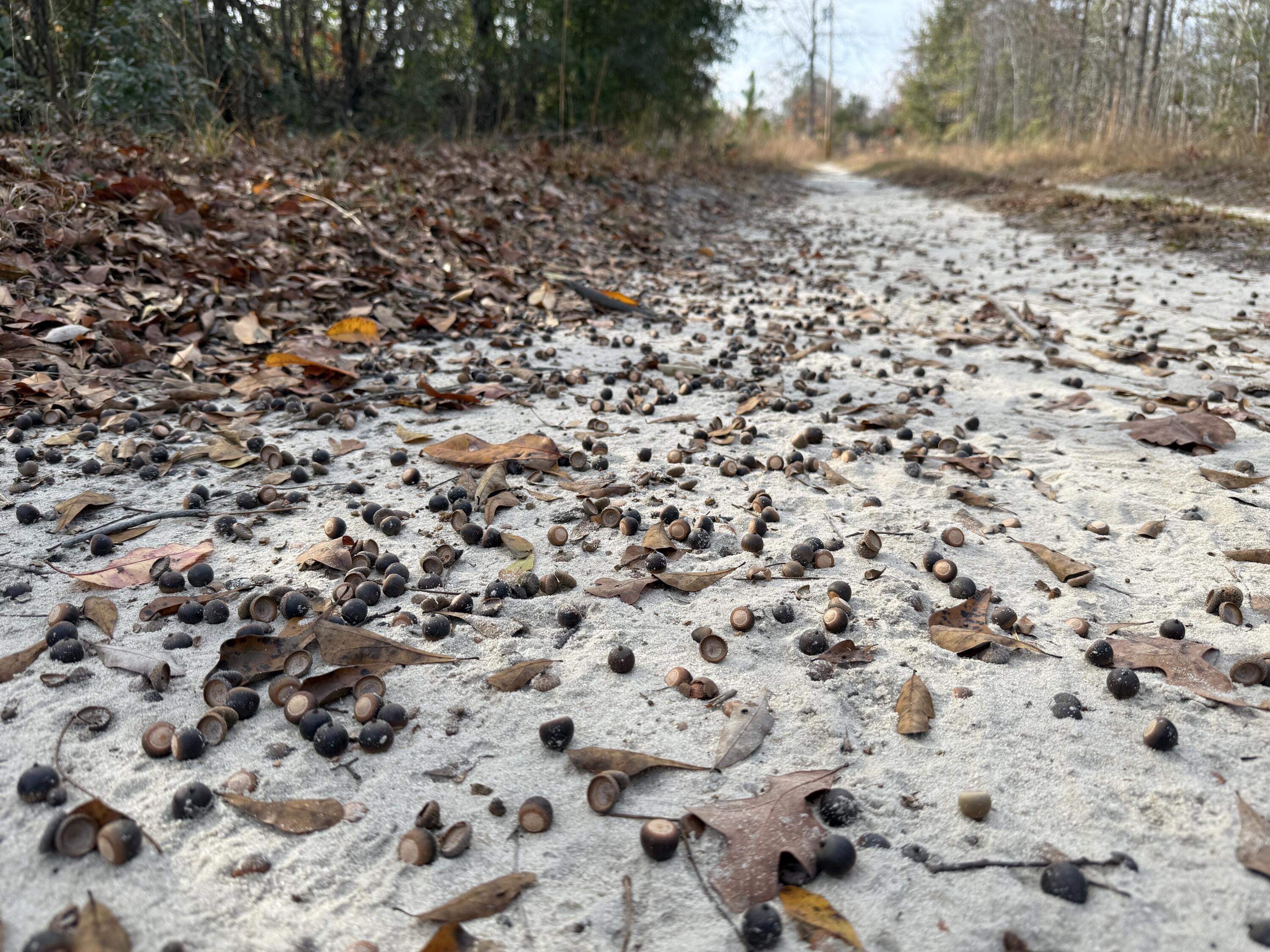 3391 Davis Bridge Road