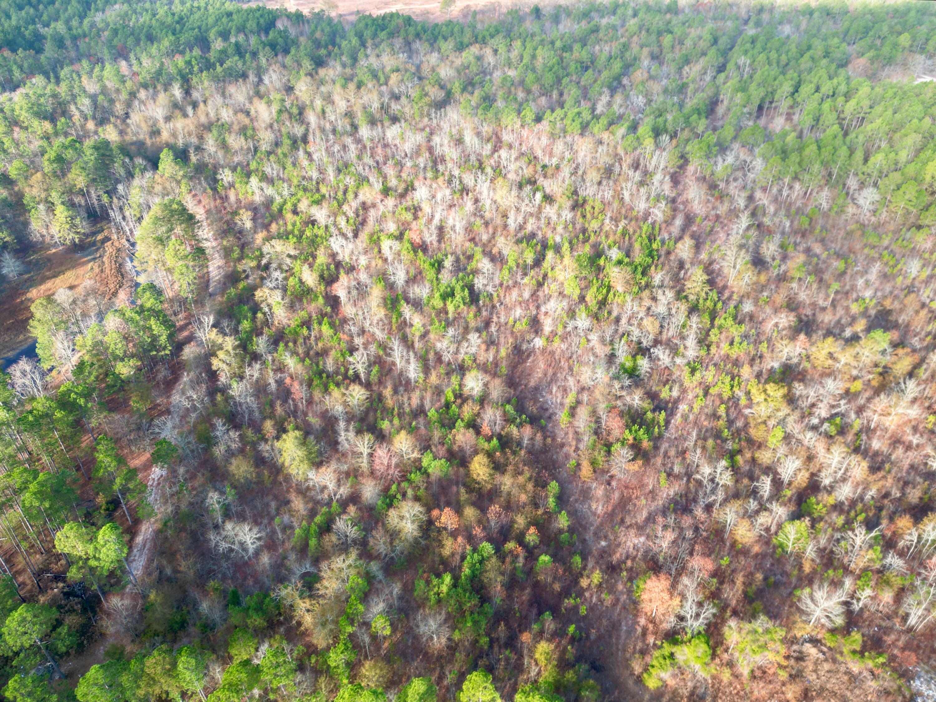 3391 Davis Bridge Road