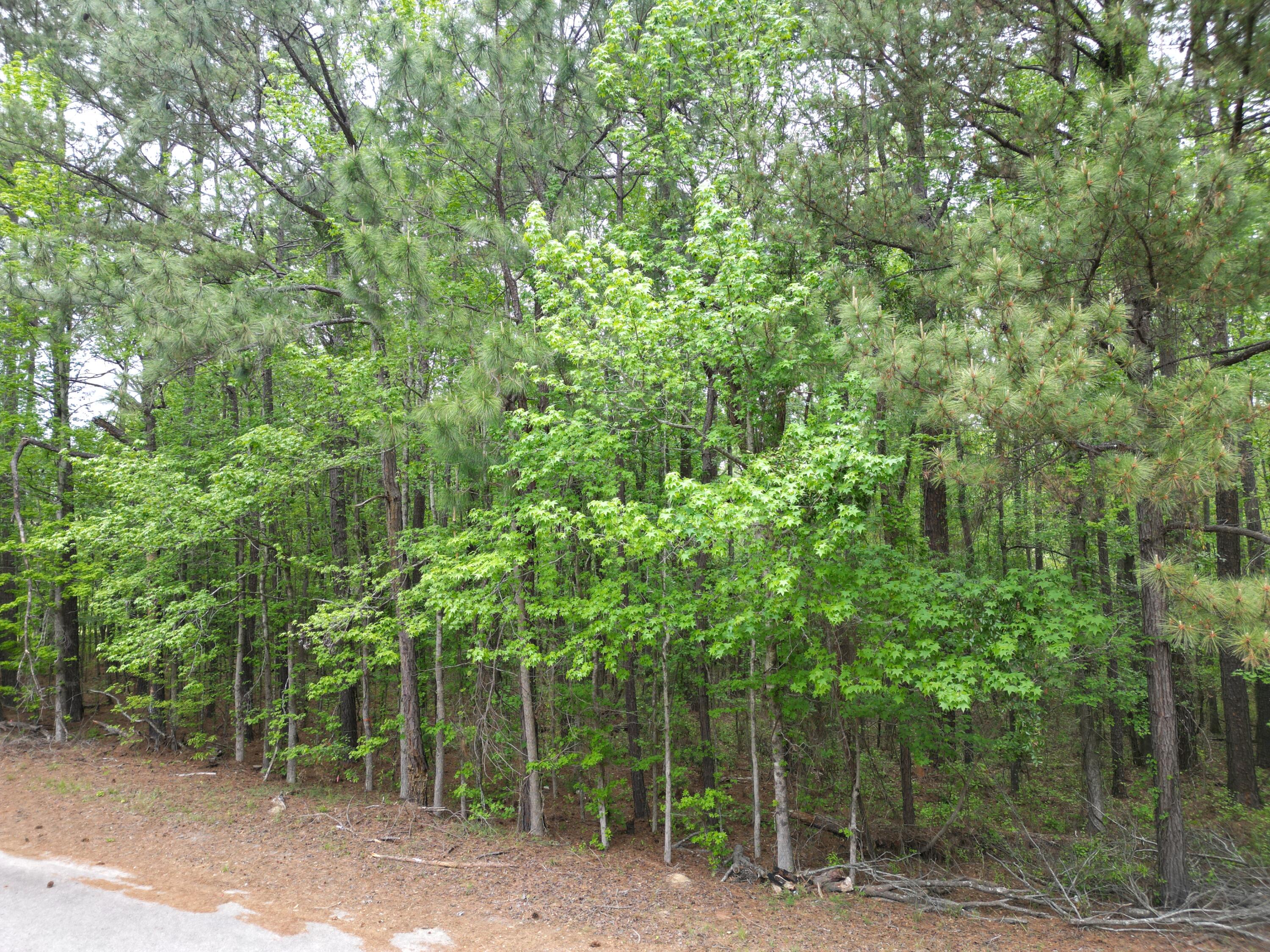 231 Morningside Drive