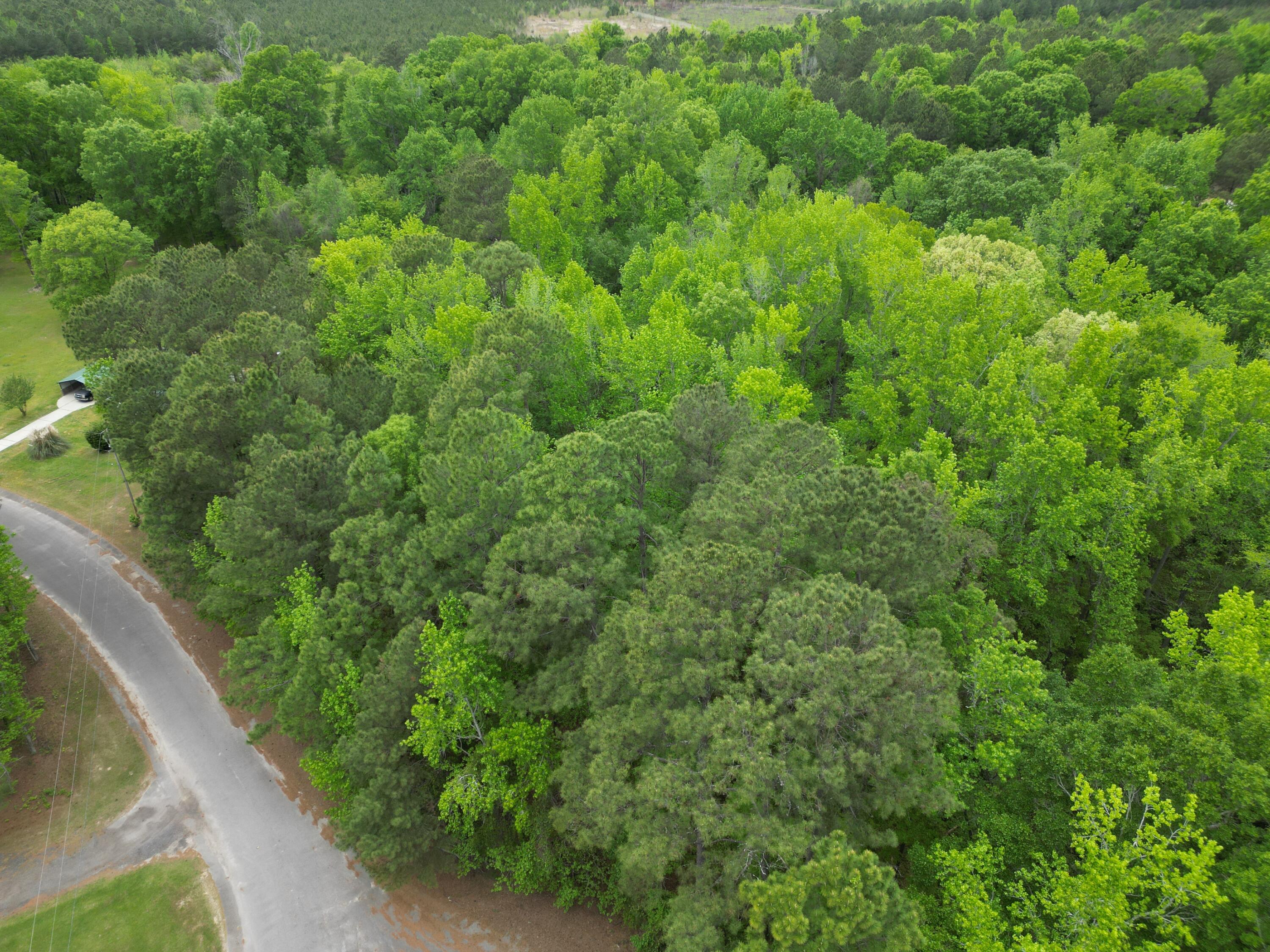 231 Morningside Drive