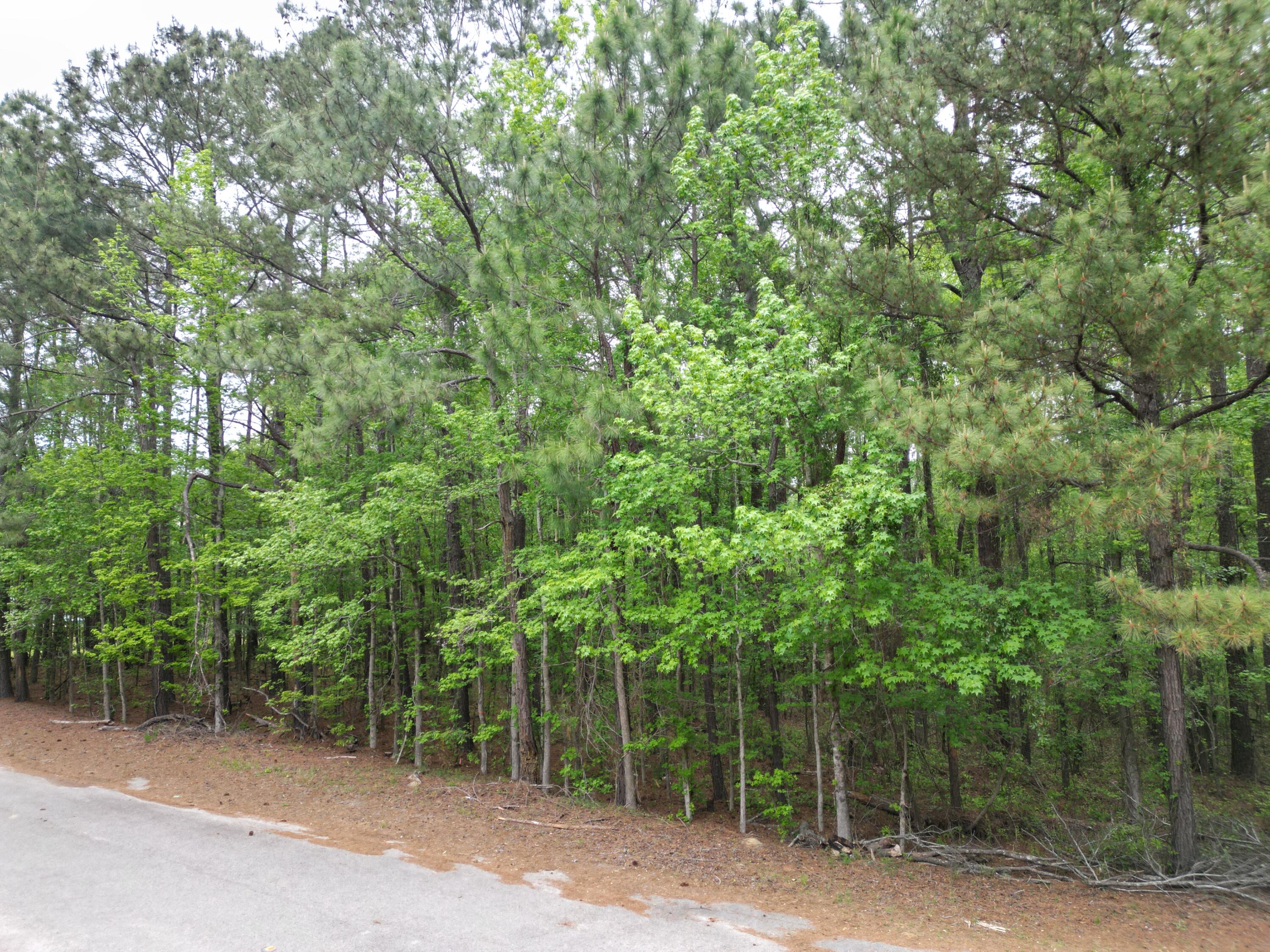 231 Morningside Drive