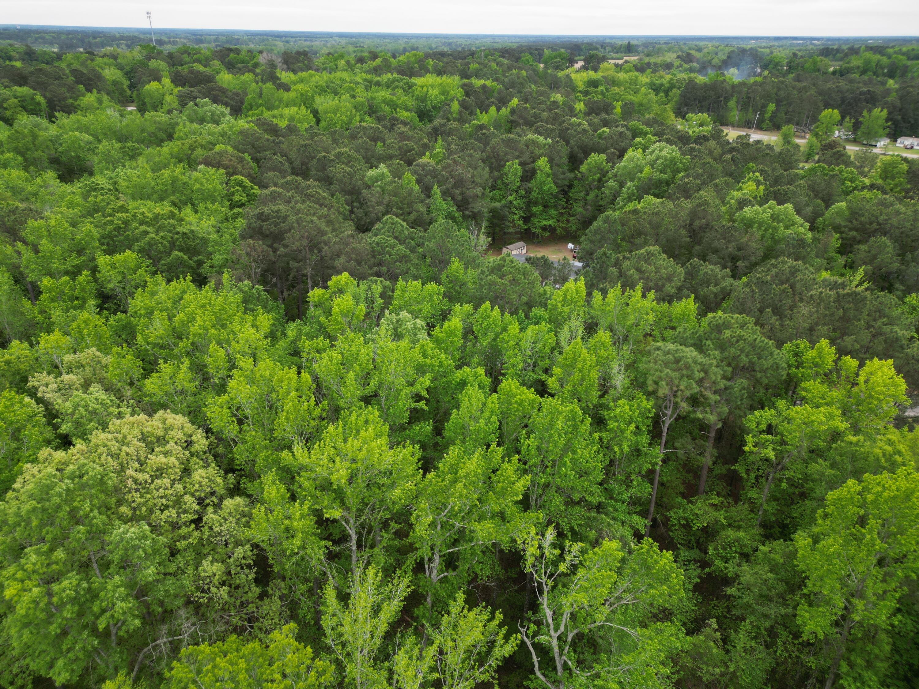 231 Morningside Drive