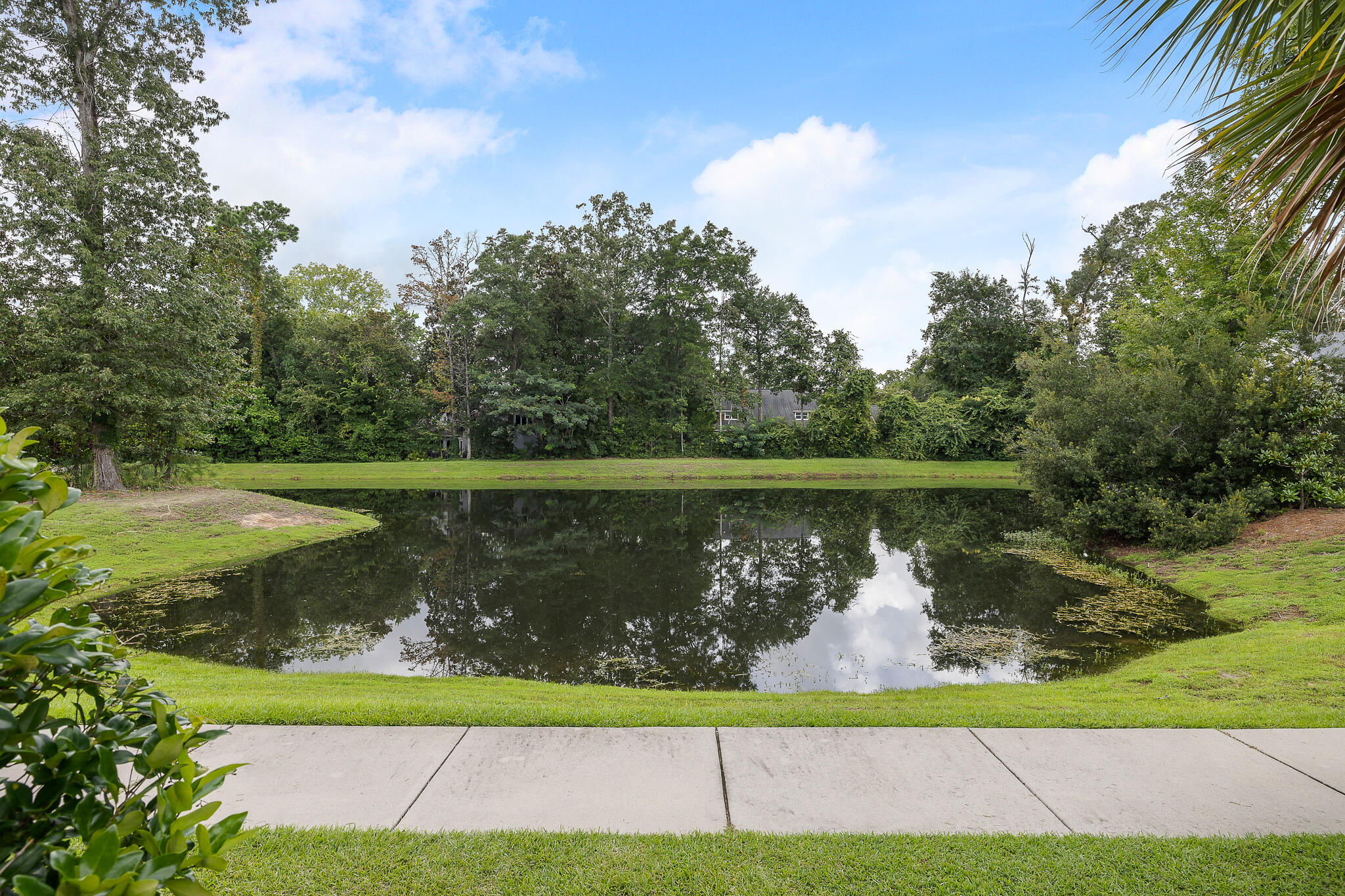 2426 Lilytree Drive