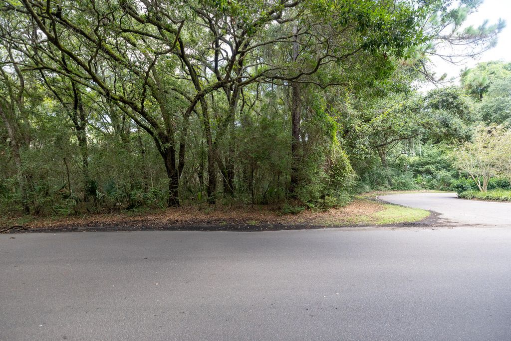 Photo of 2128 Royal Pine Drive, Seabrook Island, SC 29455 (MLS # 26005933)