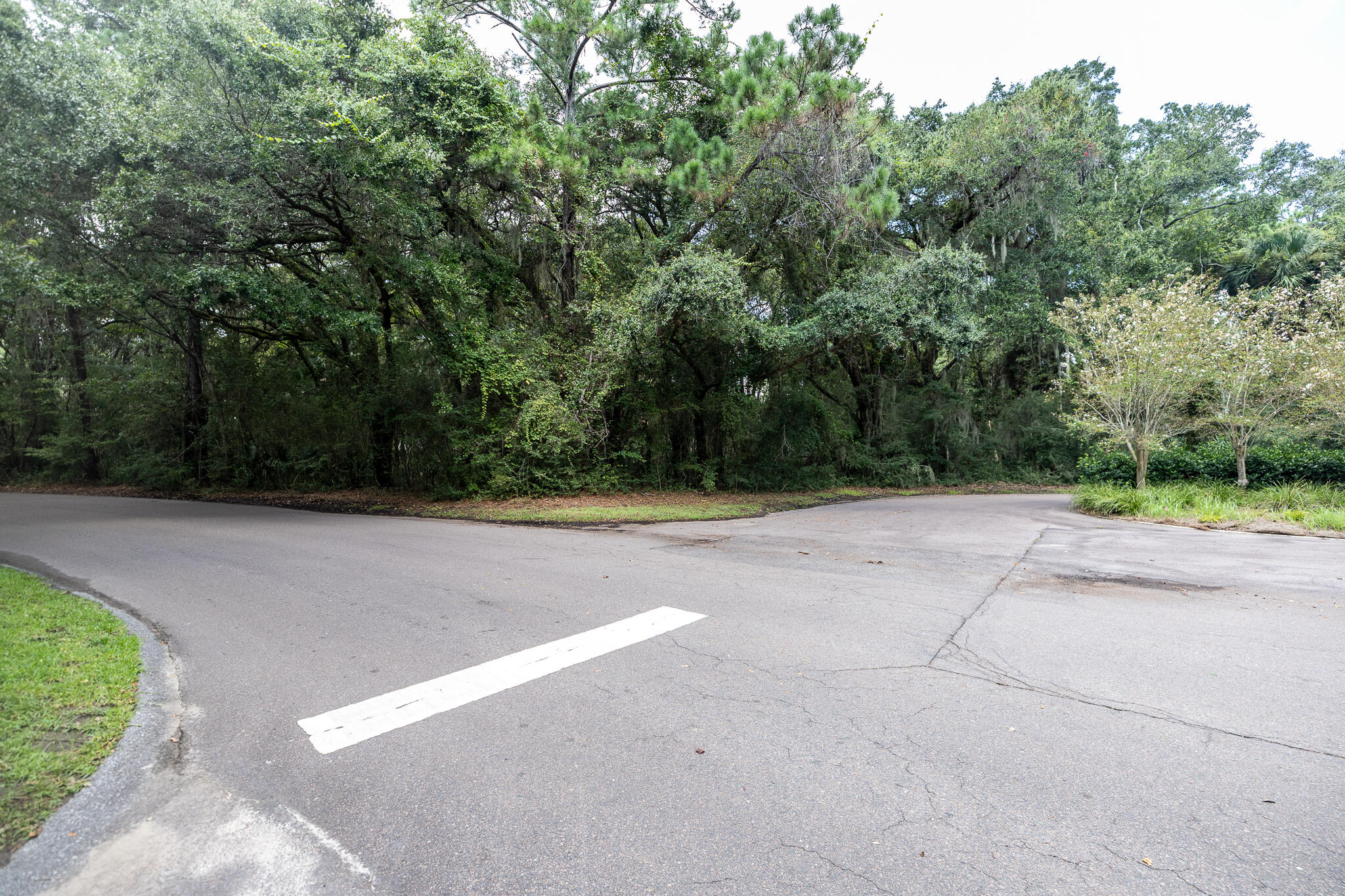 2128 Royal Pine Drive