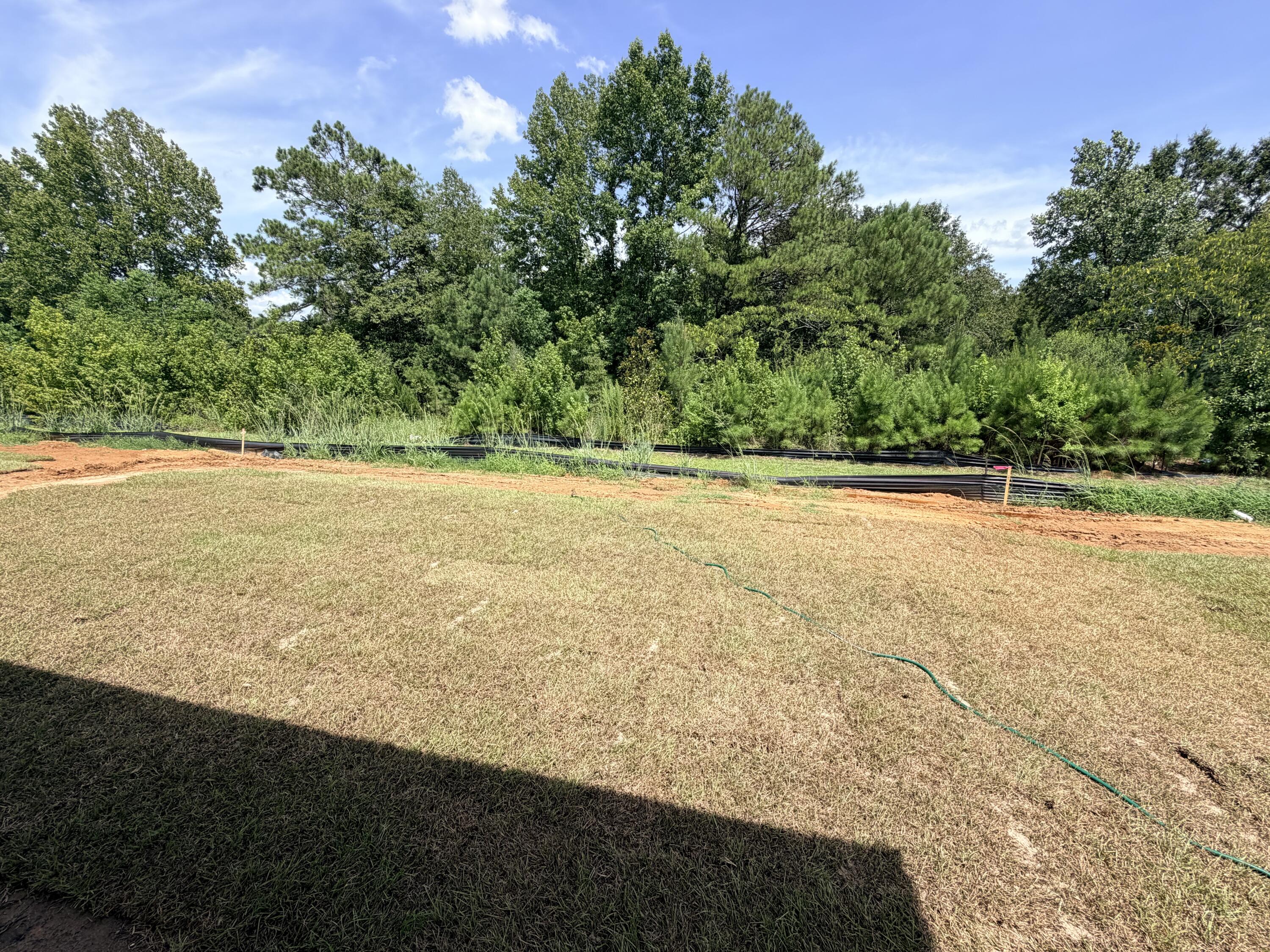 1232 Carriage Wood Circle