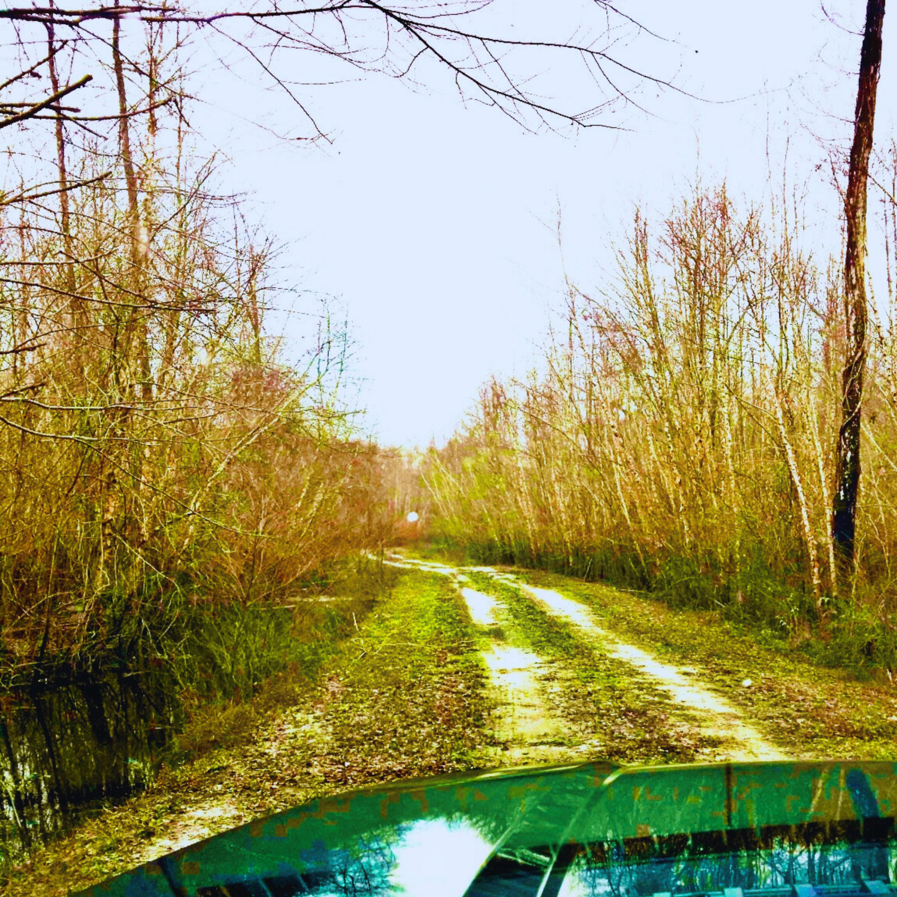 1041 Edisto River Road Road