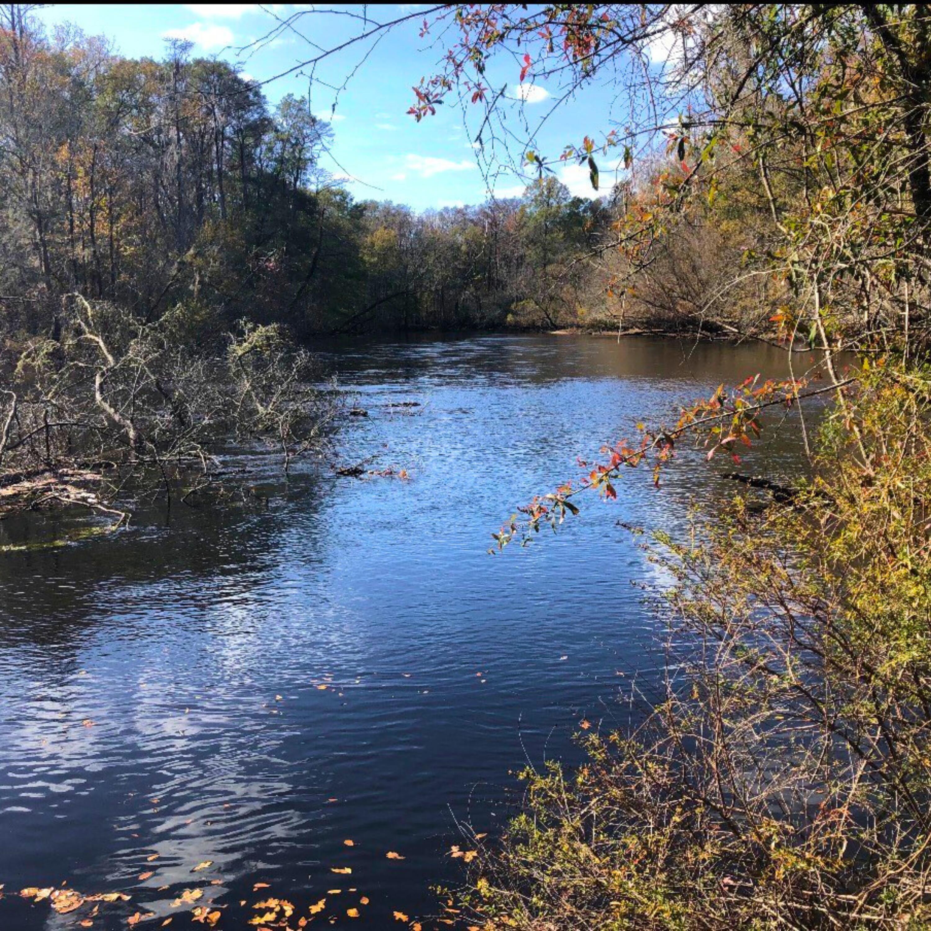 1041 Edisto River Road Road