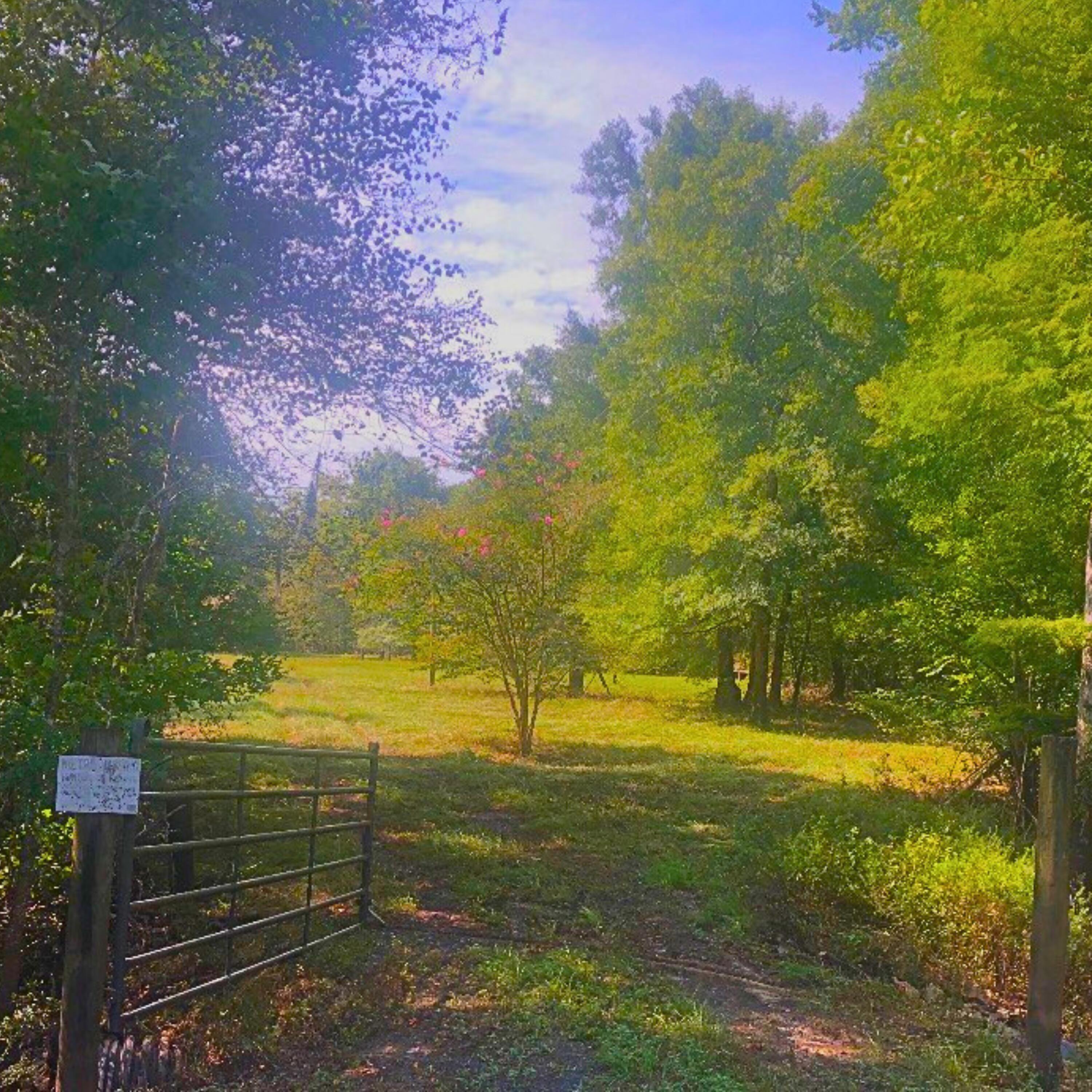 1041 Edisto River Road Road