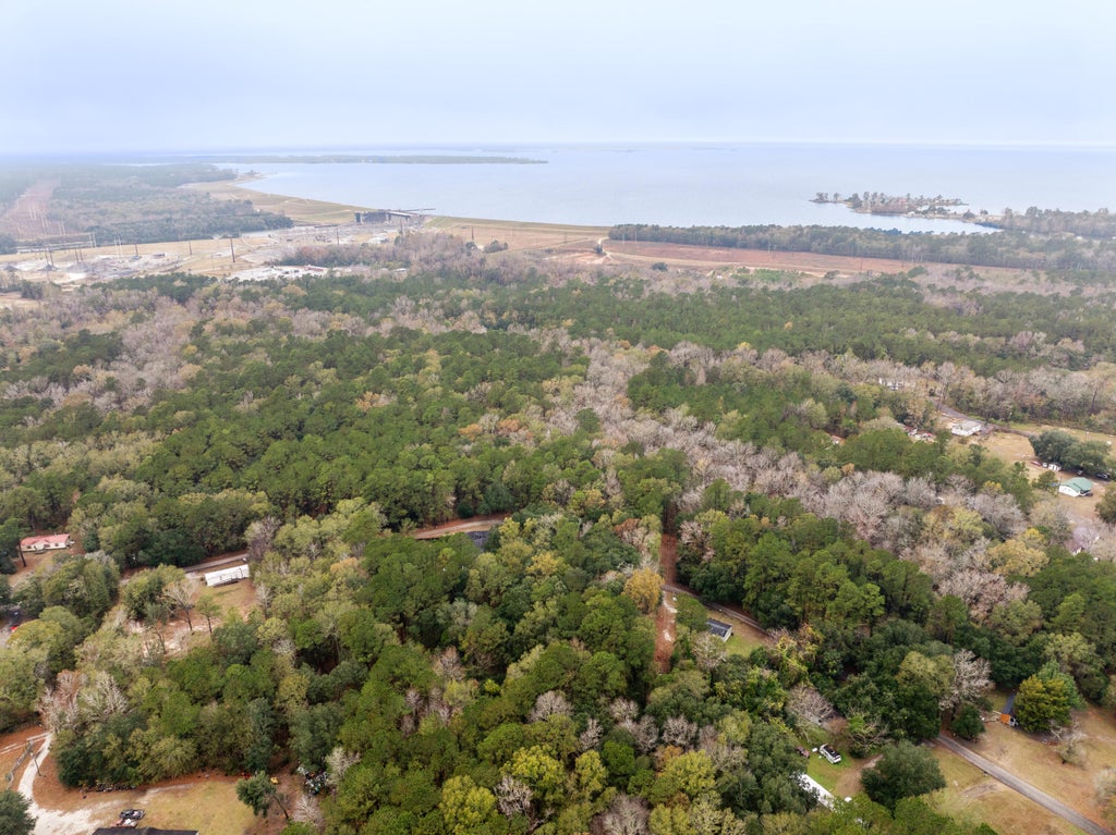 Photo of 0 Mount Pleasant Drive, Moncks Corner, SC 29461 (MLS # 25031726)
