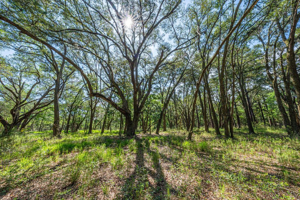 Photo of Lot 1 King Rail Lane, Edisto Island, SC 29438 (MLS # 25013661)