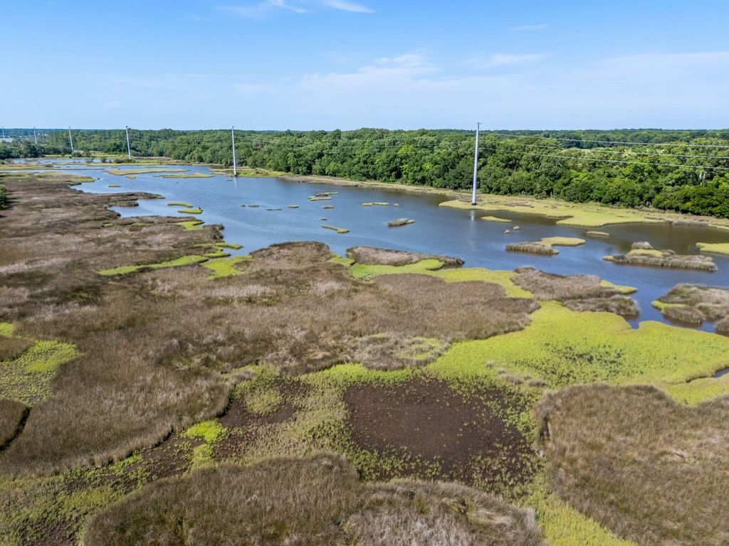 Photo of 821 Longbranch Drive, Charleston, SC 29414 (MLS # 25017991)