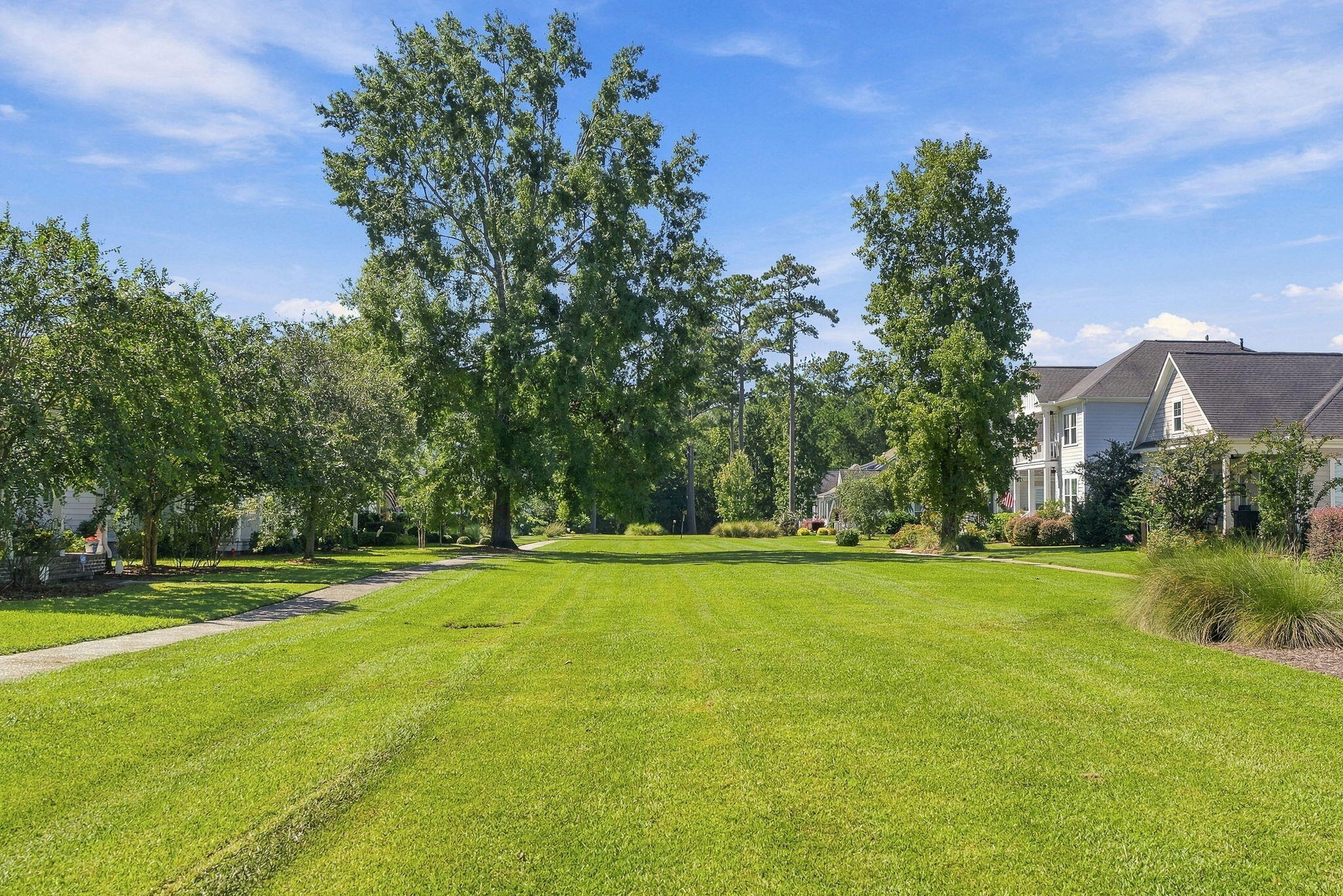 3998 Capensis Lane