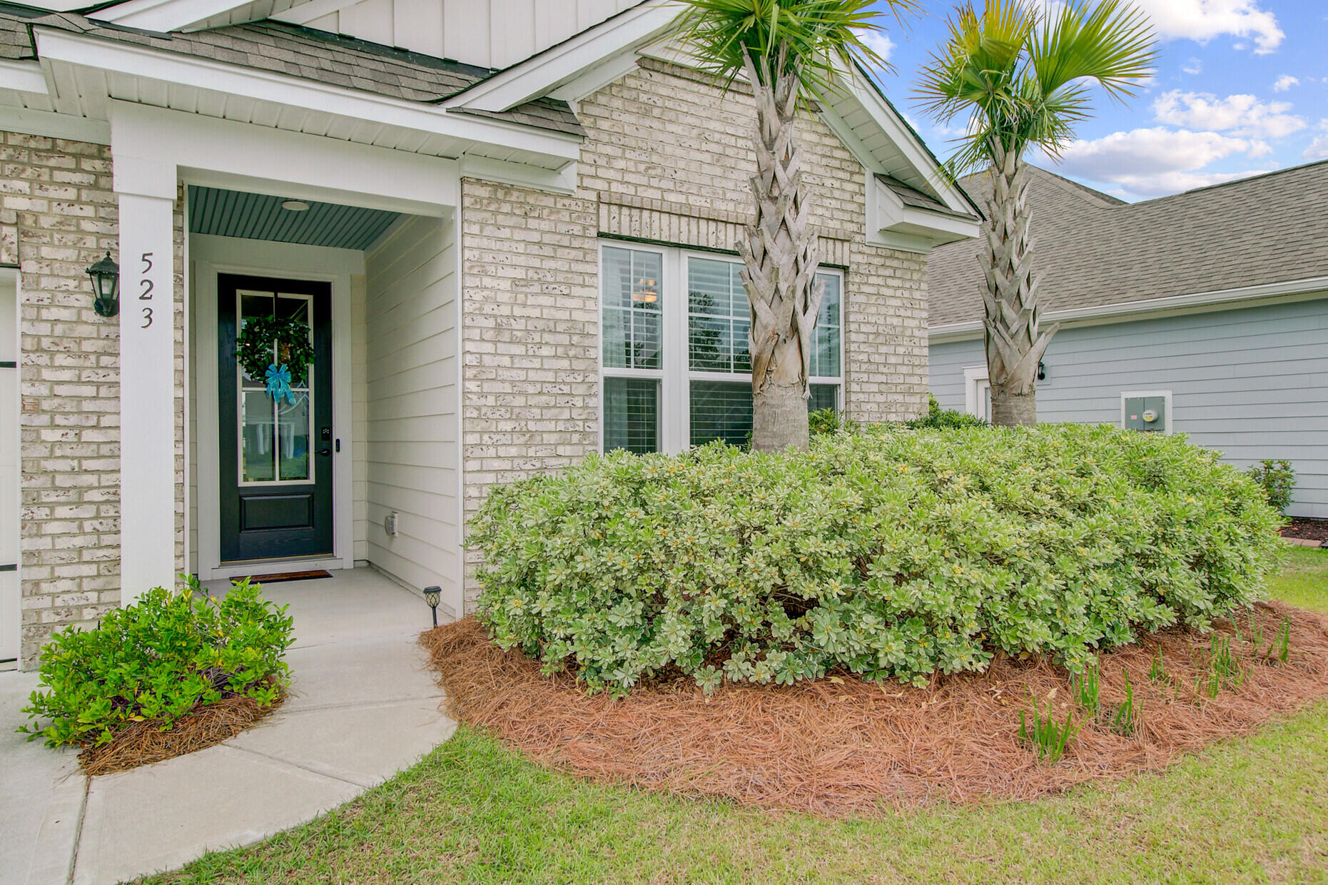 523 Fern Tree Drive