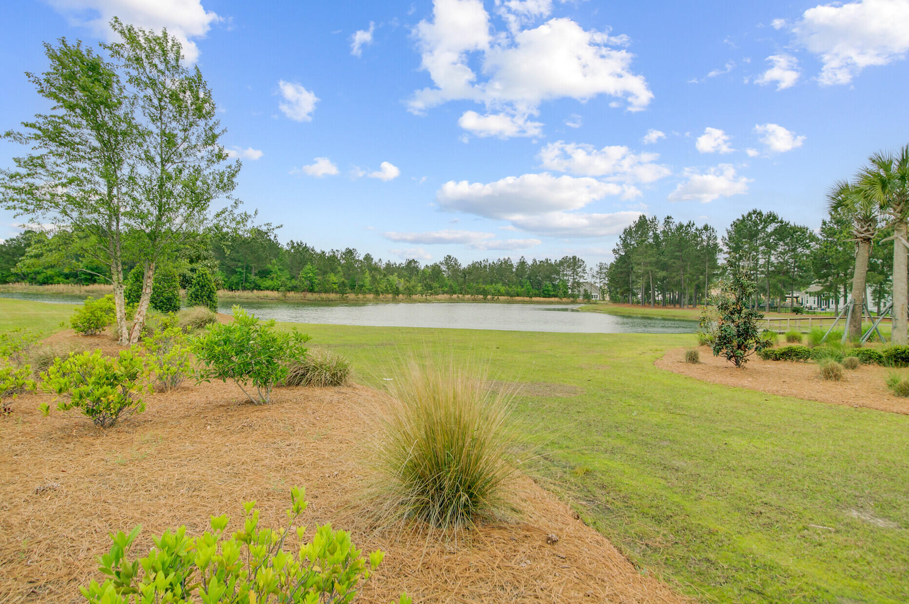 523 Fern Tree Drive