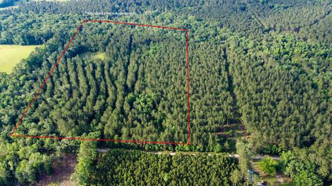 0 Tuten Road Jacksonboro SC 29452