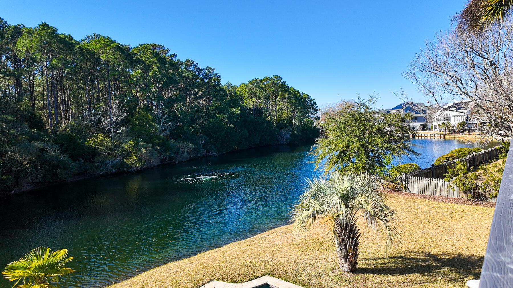 1099 Sea Eagle Watch