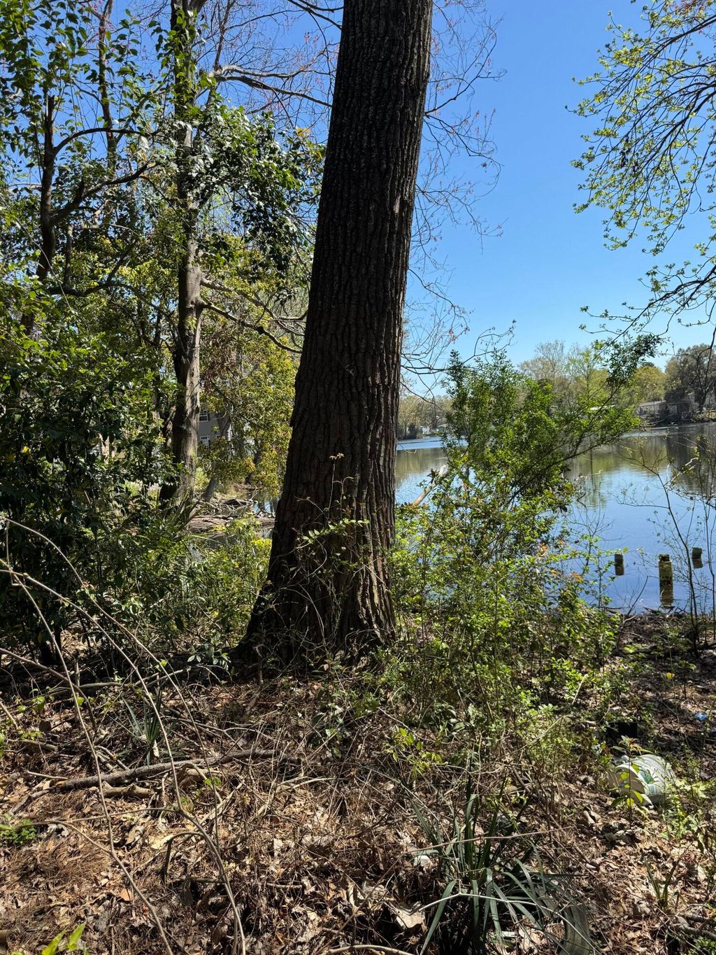 Photo of 2625 Midland Park Road, North Charleston, SC 29406 (MLS # 25014970)