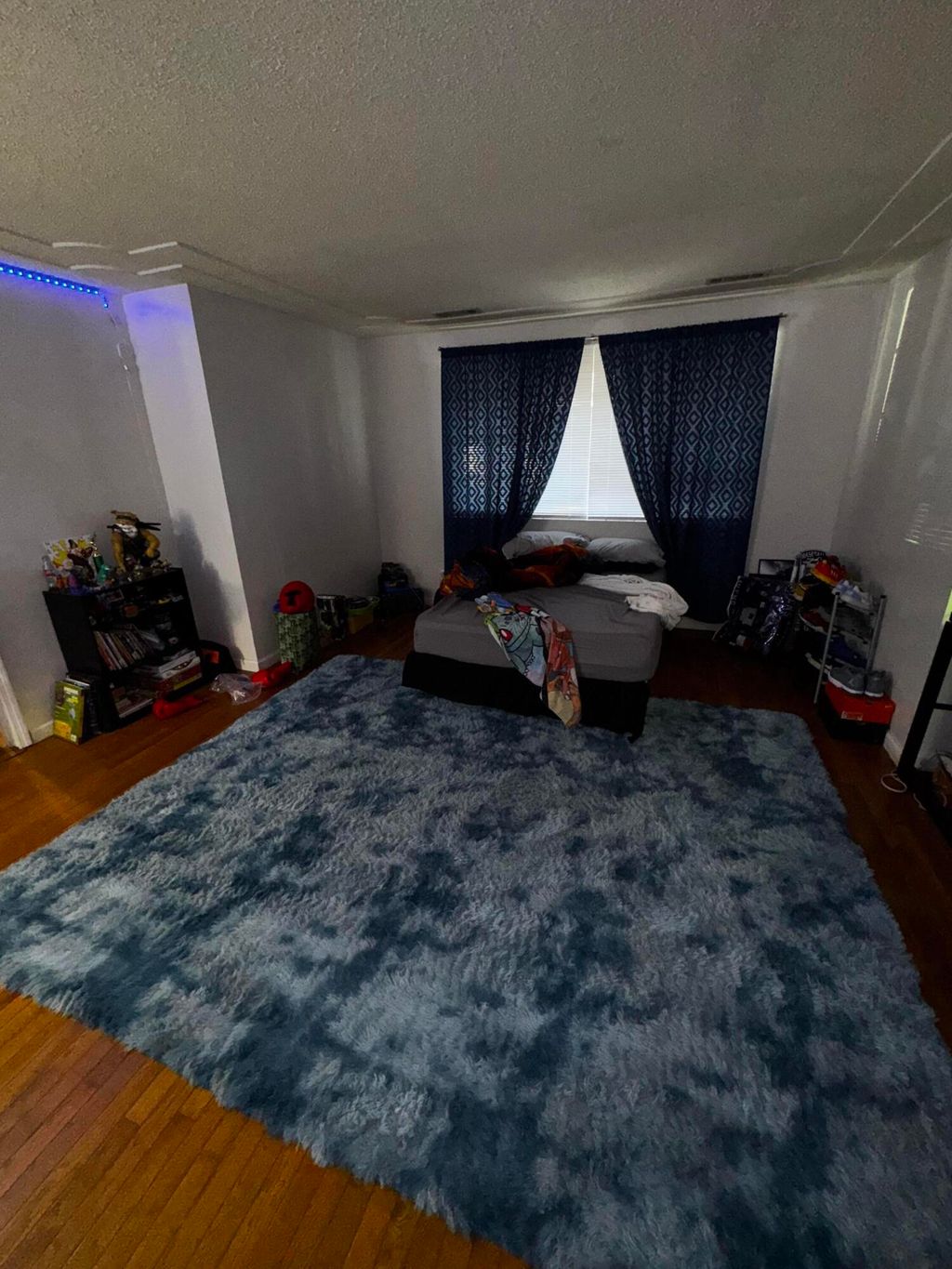 Photo of 123 Chavis Lane, Moncks Corner, SC 29461 (MLS # 26003098)