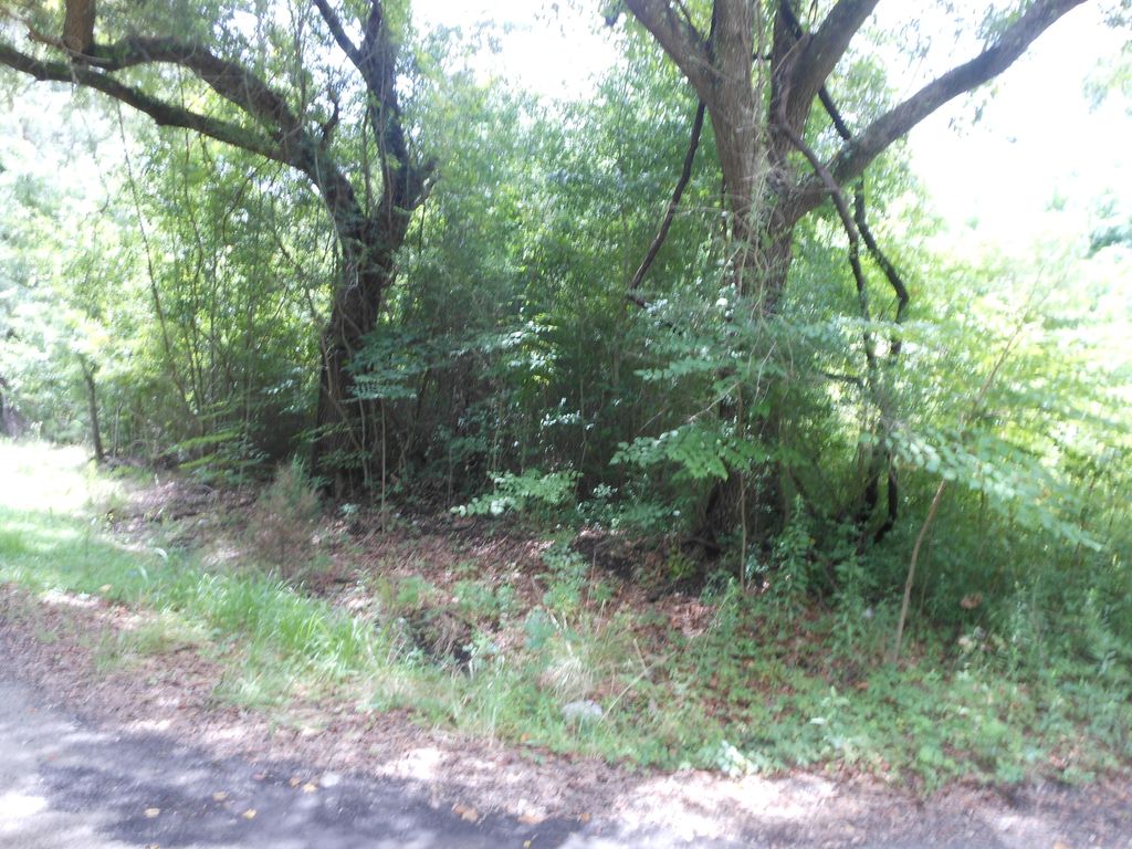 Photo of 8046 Cedar Hall Road, Edisto Island, SC 29438 (MLS # 26008754)