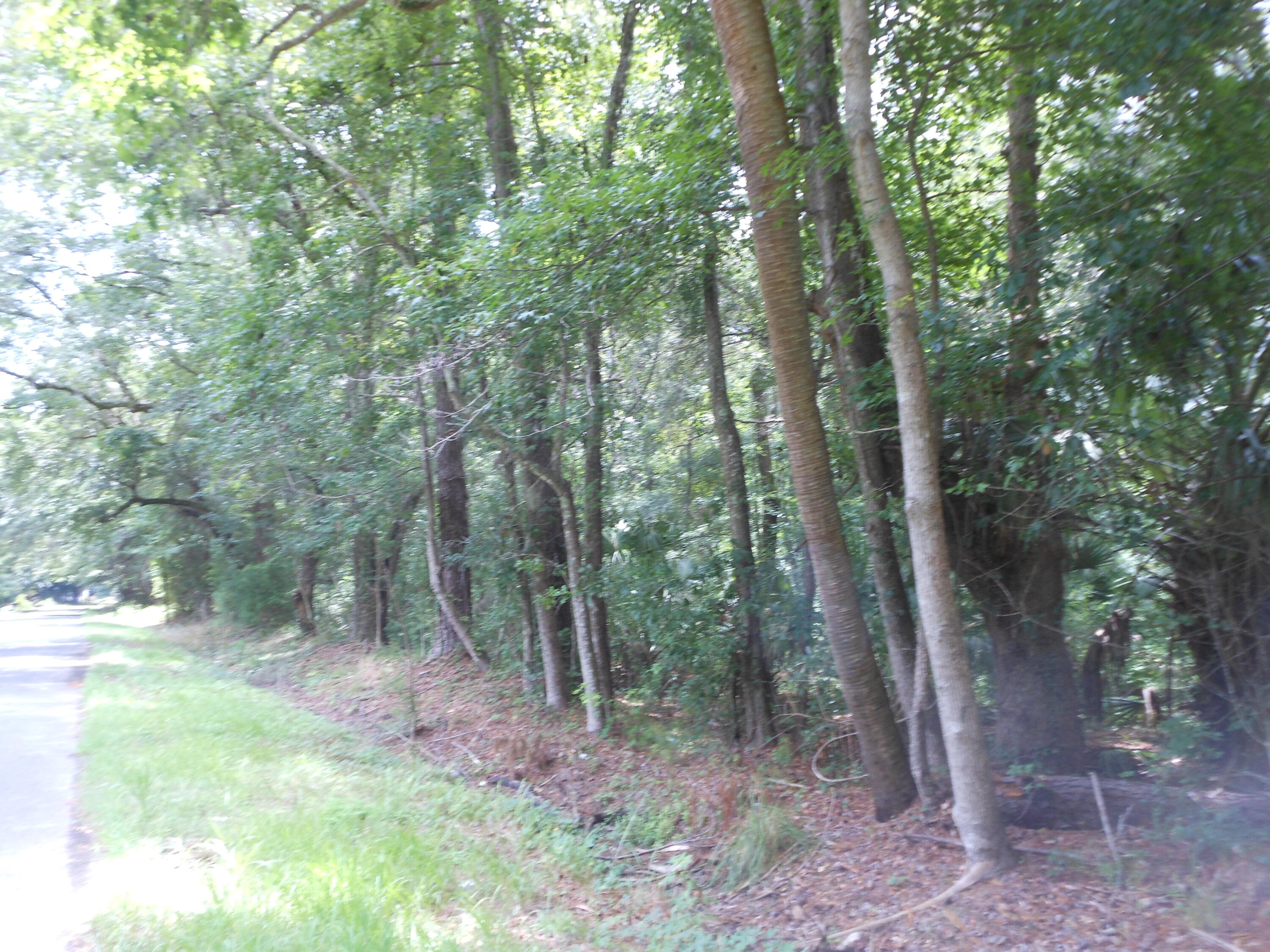 8046 Cedar Hall Road