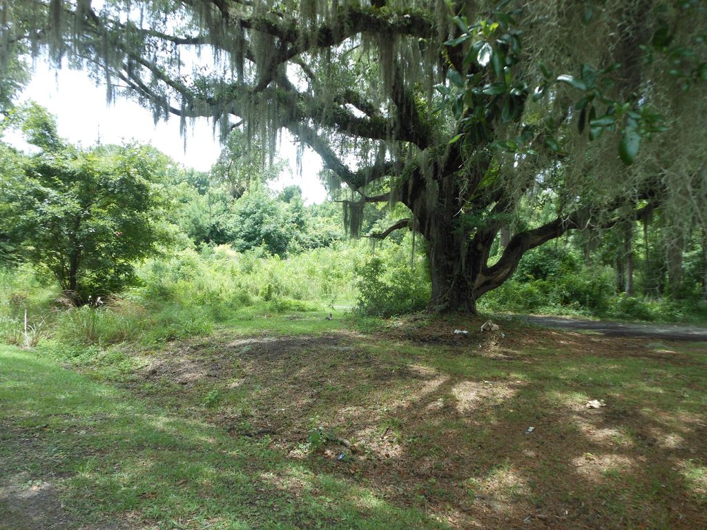 Photo of 8046 Cedar Hall Road, Edisto Island, SC 29438 (MLS # 26008754)