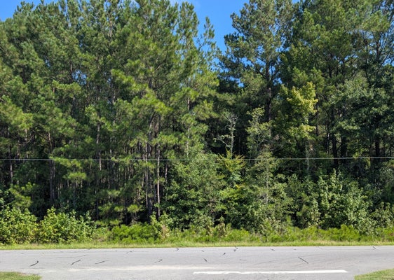 PRICES BRIDGE LN, WALTERBORO, SC 29488 - Image f4445f6def8a70cd434f8db5bdf56429/3555309062